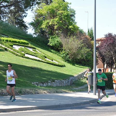 VII CARRERA DEL CERCO DE ZAMORA_1384