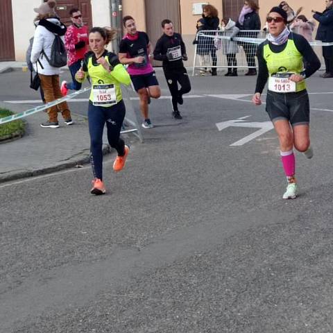 MEDIA MARATÓN DE TORO / MEDIA MARATÓN DE SEVILLA 2923_2173