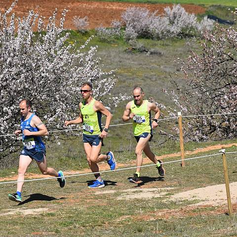 CAMPEONATO DE ESPAÑA MASTER DE CAMPO A TRAVÉS_2353