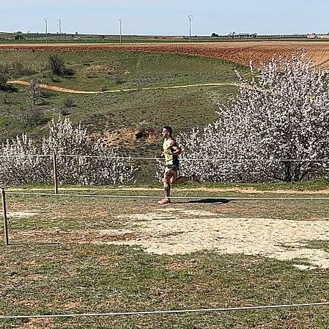 CAMPEONATO DE ESPAÑA MASTER DE CAMPO A TRAVÉS_2319