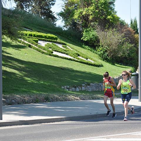 VII CARRERA DEL CERCO DE ZAMORA_1454