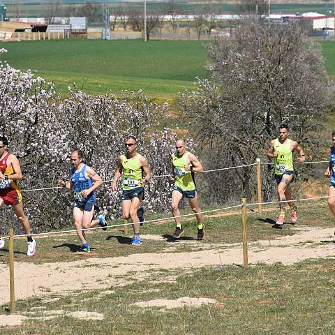 CAMPEONATO DE ESPAÑA MASTER DE CAMPO A TRAVÉS_2352