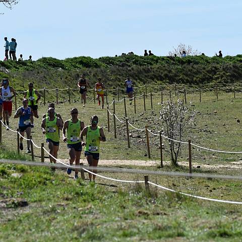 CAMPEONATO DE ESPAÑA MASTER DE CAMPO A TRAVÉS_2358