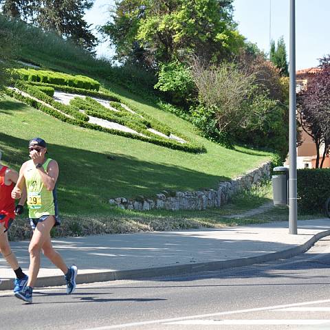 VII CARRERA DEL CERCO DE ZAMORA_1462