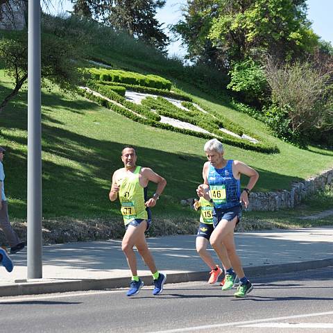 VII CARRERA DEL CERCO DE ZAMORA_1445