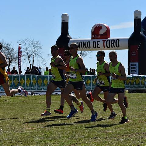 CAMPEONATO DE ESPAÑA MASTER DE CAMPO A TRAVÉS_2351