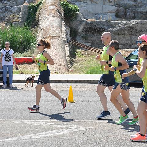 VII CARRERA DEL CERCO DE ZAMORA_1208