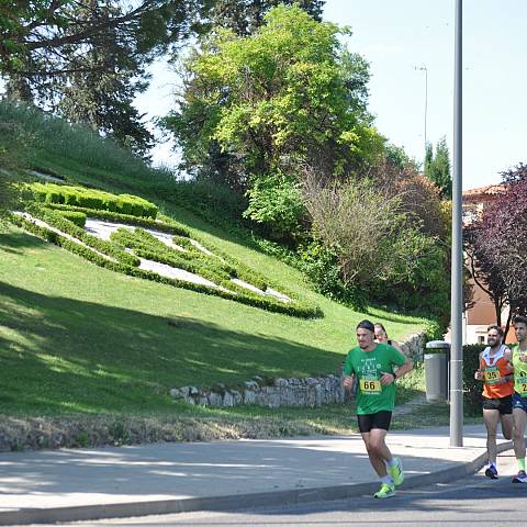 VII CARRERA DEL CERCO DE ZAMORA_1385