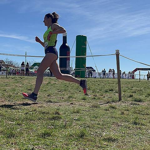 CAMPEONATO DE ESPAÑA MASTER DE CAMPO A TRAVÉS_2300