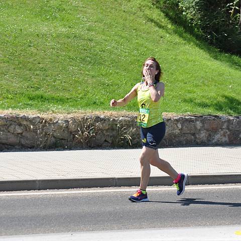VII CARRERA DEL CERCO DE ZAMORA_1487