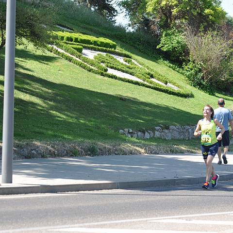 VII CARRERA DEL CERCO DE ZAMORA_1482