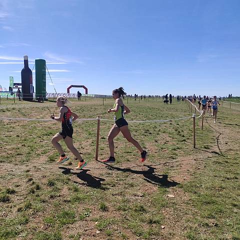 CAMPEONATO DE ESPAÑA MASTER DE CAMPO A TRAVÉS_2434