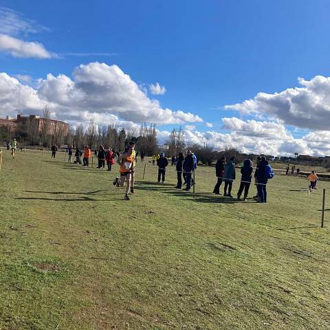 Campeonato Autonómico de Campo a Través Individual y Clubes_2114